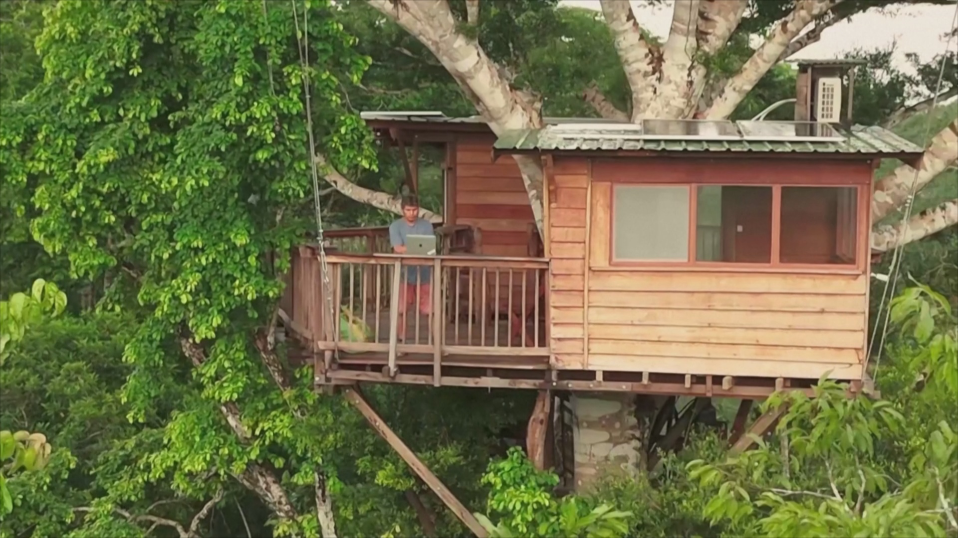 Образование в экстремальных условиях: учебный центр на дереве построили в джунглях Перу