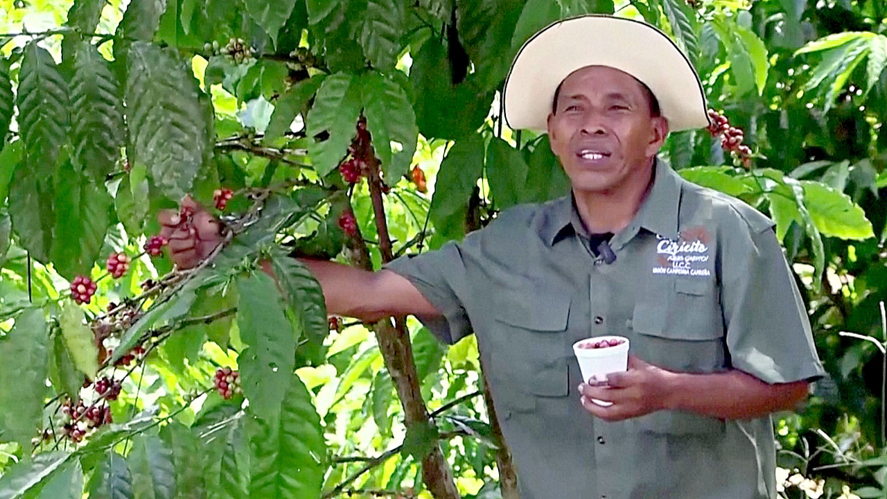Как кофейные фермеры помогают Панамскому каналу