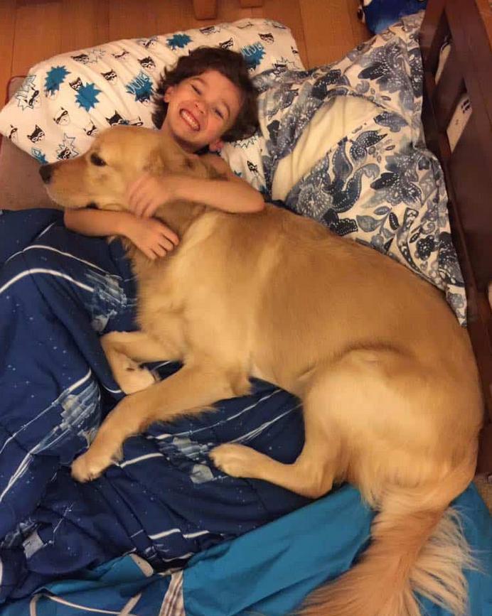 Как мальчику с аутизмом помогает собака-компаньон