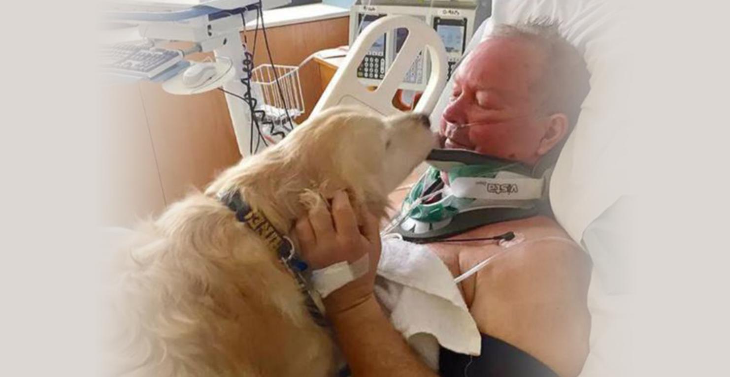 Собака не отходила от хозяина 20 часов и спасла ему жизнь