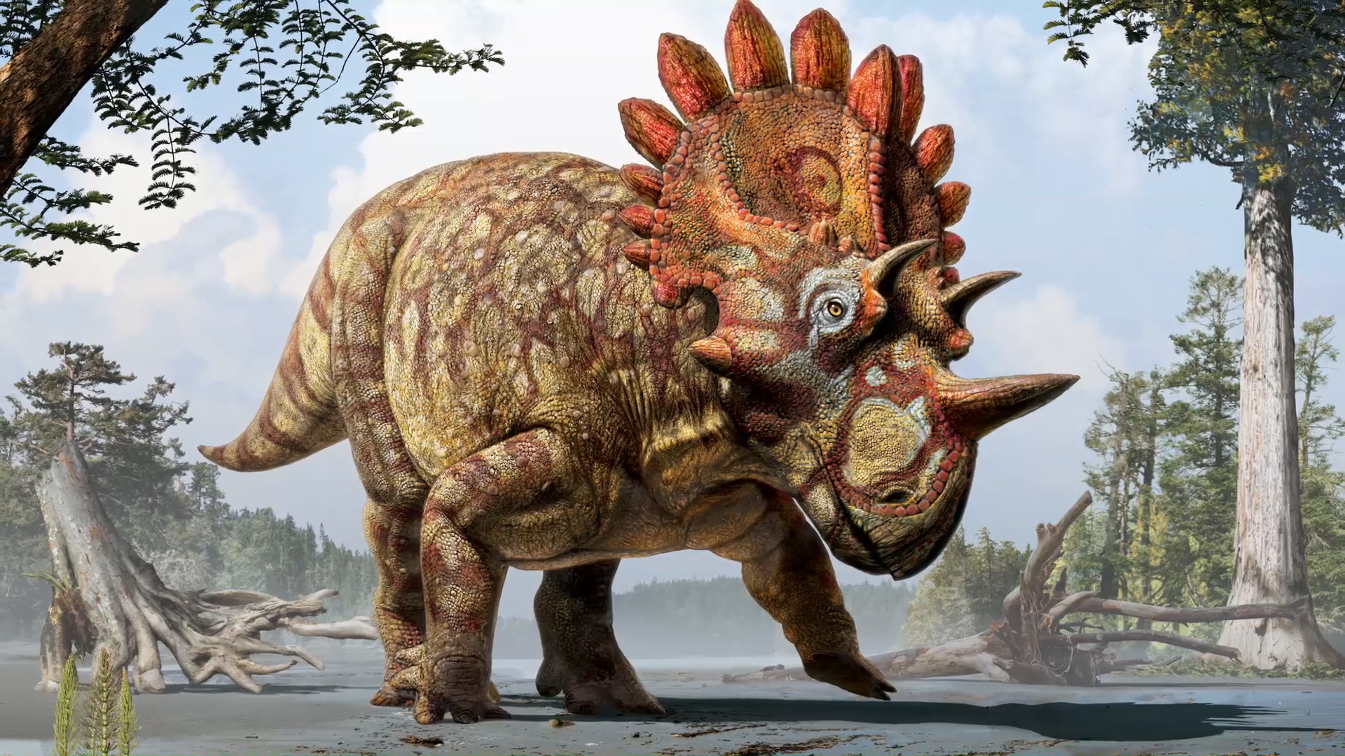 Как за 200 лет развилась наука о динозаврах