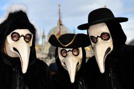 Карнавал в Венеции может стать «платным»