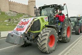 Протестующие испанские фермеры перекрыли дороги по всей стране