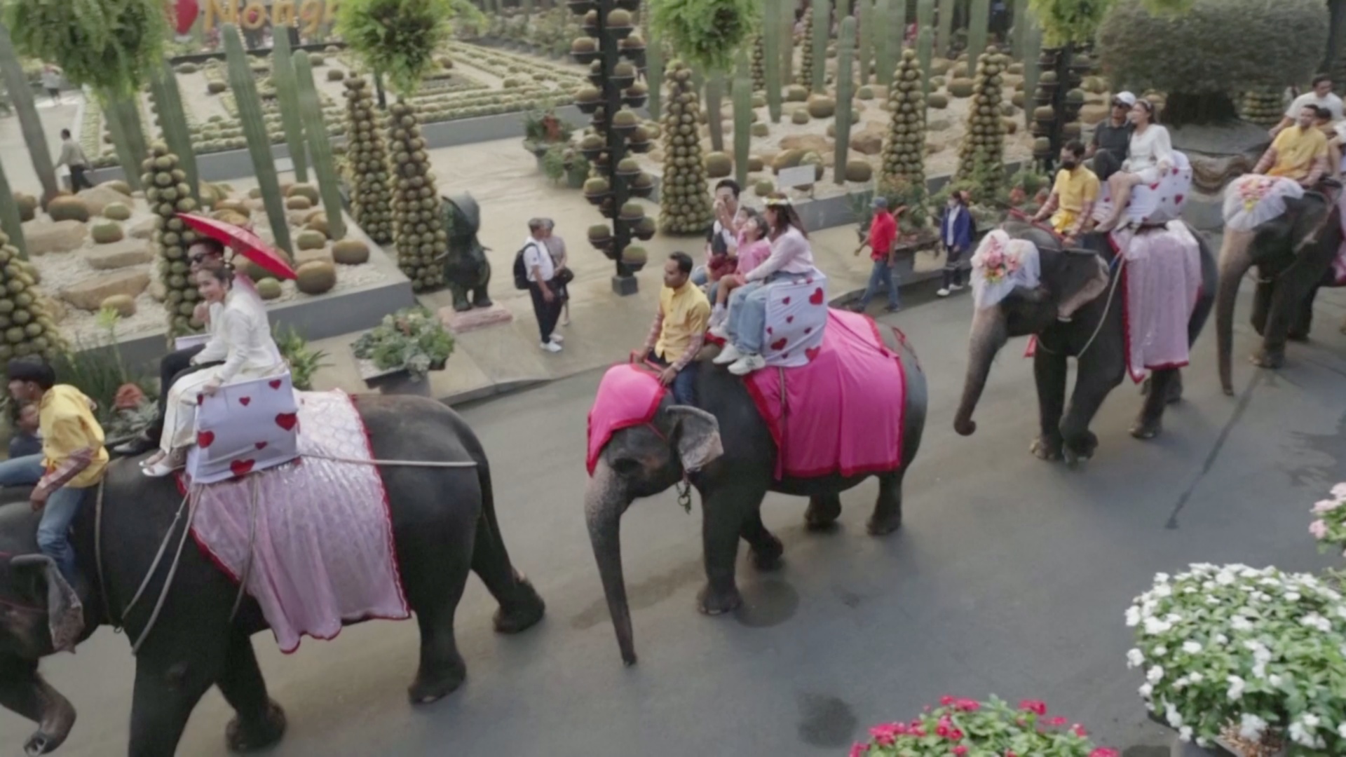 Влюблённые в Таиланде поженились на слонах в День святого Валентина