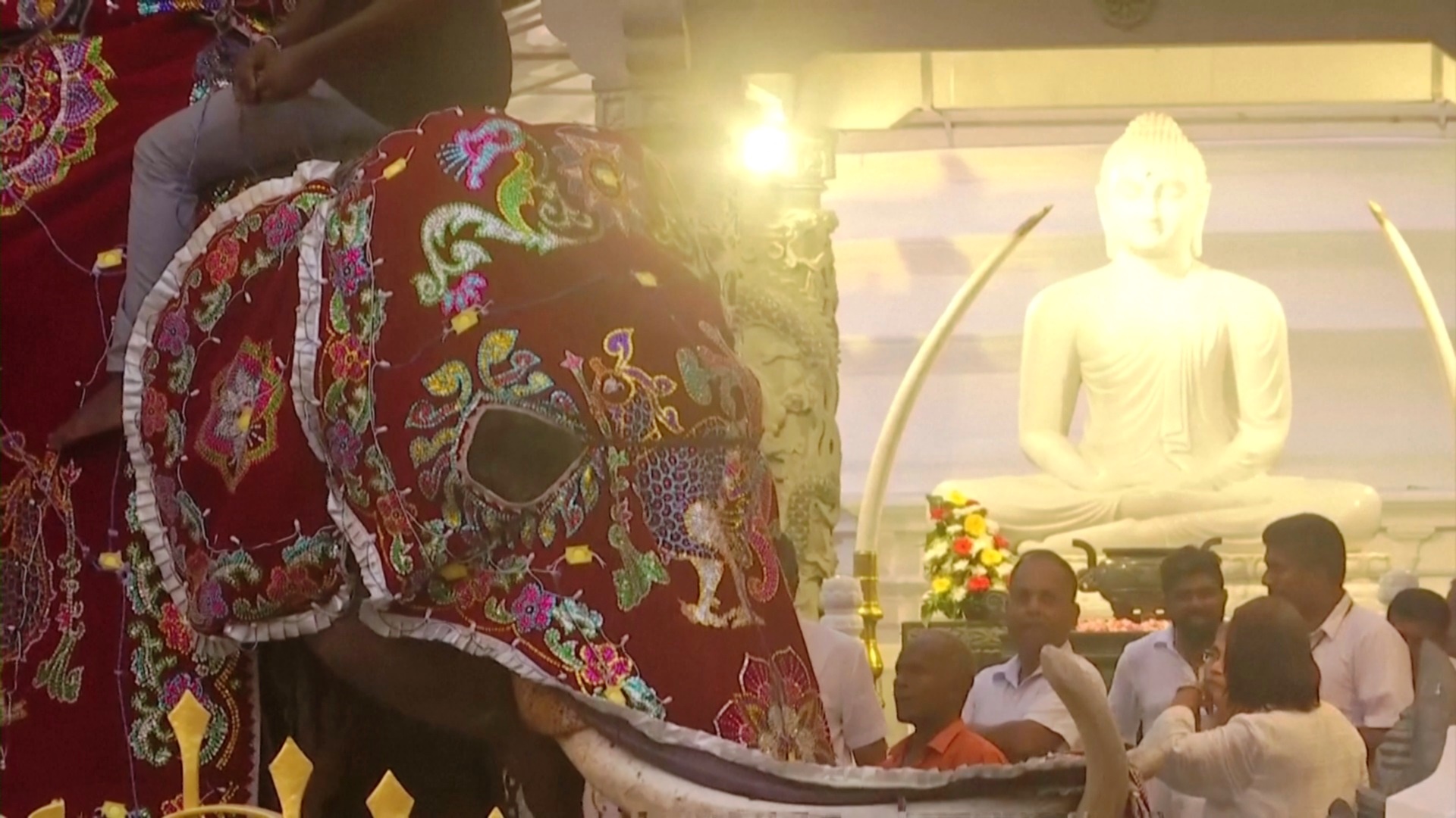 Красочный парад со слонами устроили на Шри-Ланке