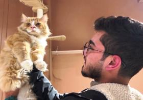 40 кошек встречают гостей в котокафе в Ираке