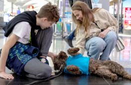 Стамбул: как собаки-терапевты помогают в аэропорту