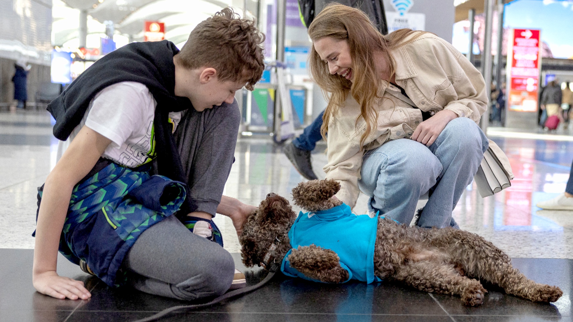 Стамбул: как собаки-терапевты помогают в аэропорту
