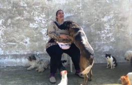Женщина из Туниса подобрала 400 бездомных кошек и 22 собаки