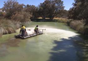 В Австралии создали глину, которая помогает остановить цветение воды