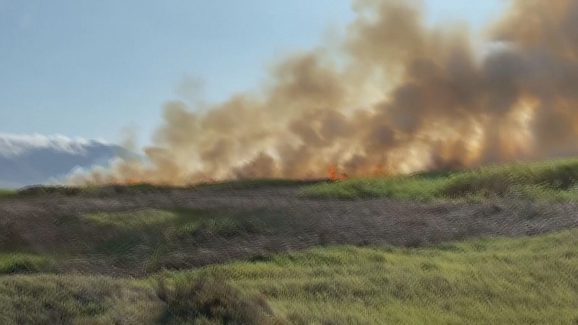 Не могут потушить: сильный лесной пожар в Перу угрожает флоре и фауне