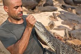 50 сиамских крокодилов, которые когда-то считались вымершими, выпустили в дикую природу