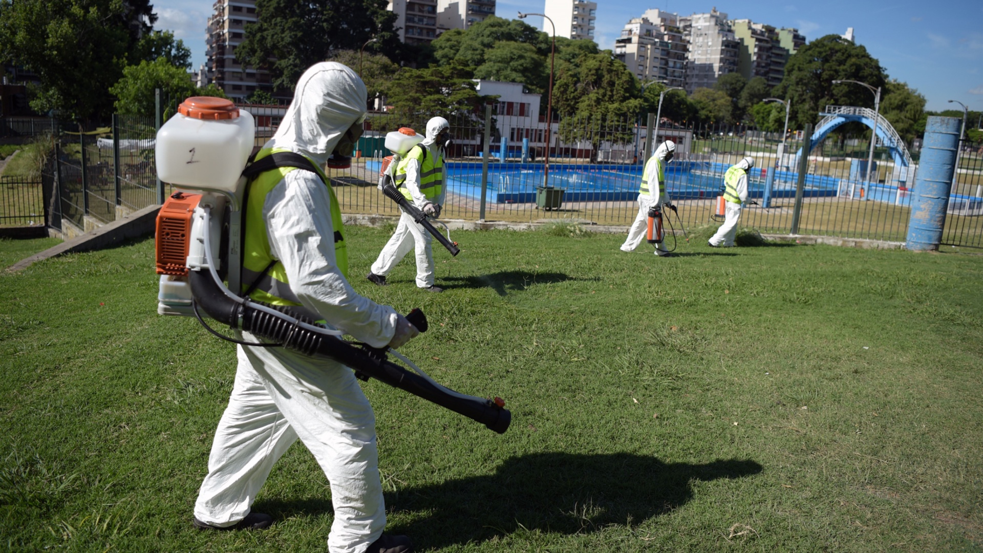 Эпидемия лихорадки денге может начаться в Аргентине