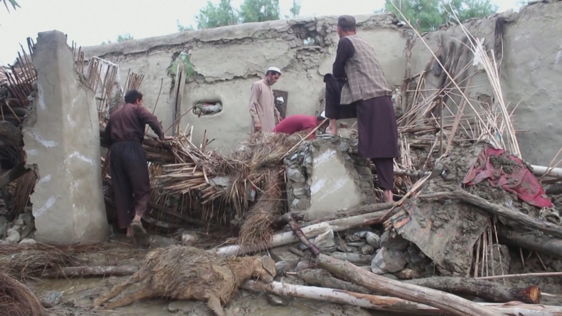 Наводнения вызвали хаос в Афганистане и Пакистане
