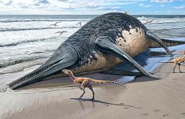 Учёные подтвердили обнаружение нового вида древних ихтиозавров