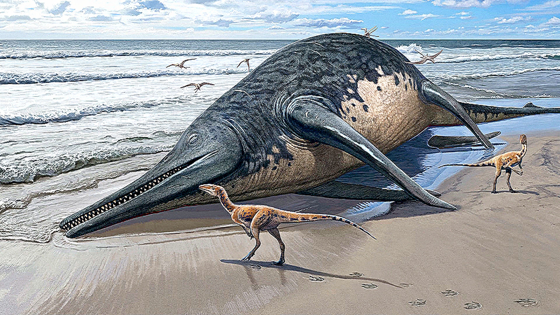 Учёные подтвердили обнаружение нового вида древних ихтиозавров