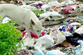 Ко Дню Земли подготовили новую цель – сократить использование пластика на 60% к 2040 году