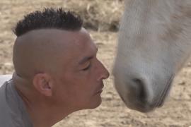 Мужчина из Сербии посвятил жизнь спасению лошадей