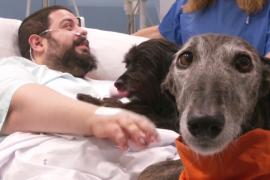 Собачья терапия помогает пациентам найти силы в больнице Барселоны
