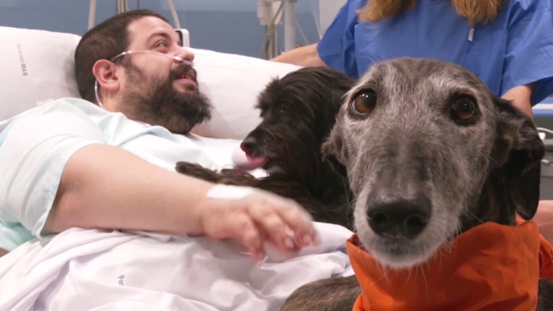 Собачья терапия помогает пациентам найти силы в больнице Барселоны