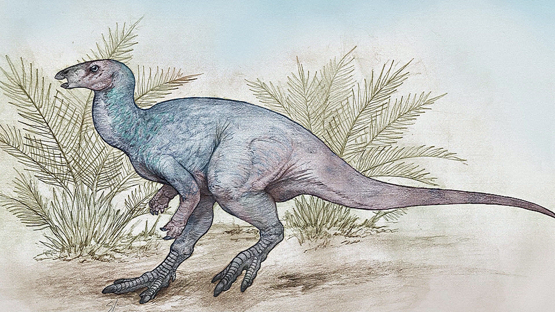 Новый вид проворных динозавров открыли в Аргентине