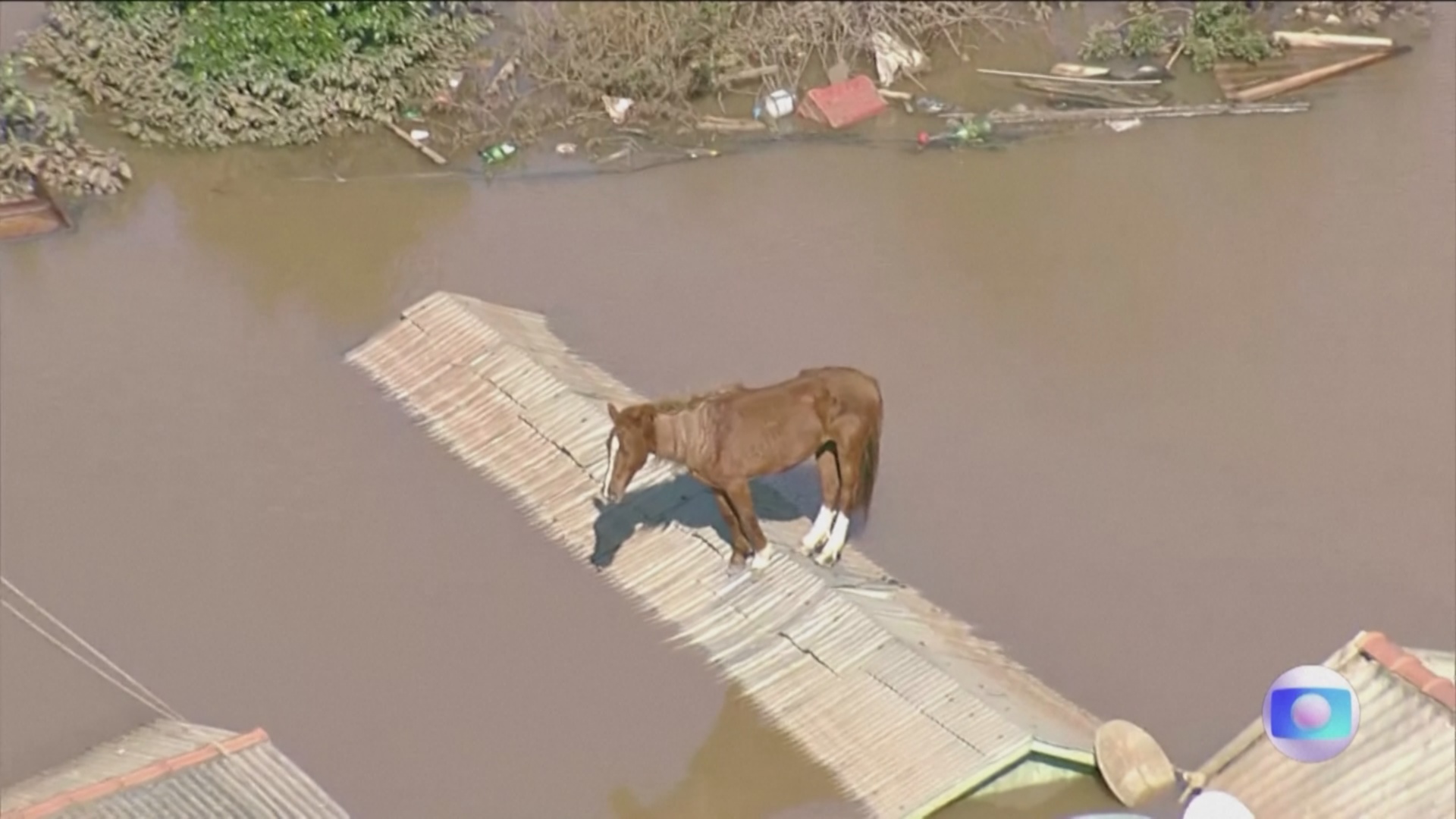 Жизнь на мосту: как бразильцы спасаются от наводнений