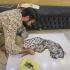 Иракский парикмахер создаёт картины из волос клиентов