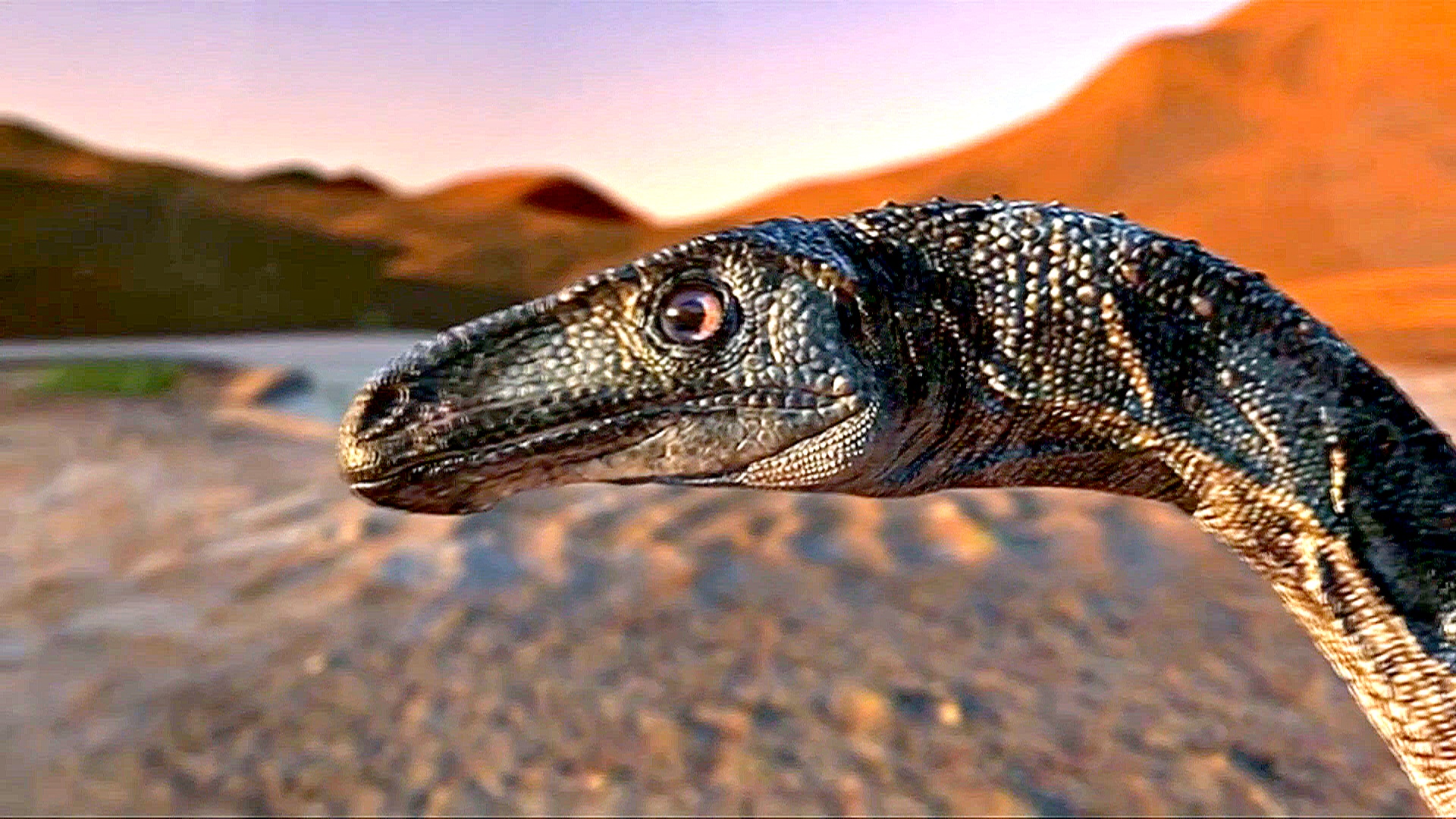 Первые теплокровные динозавры, возможно, появились 180 млн лет назад