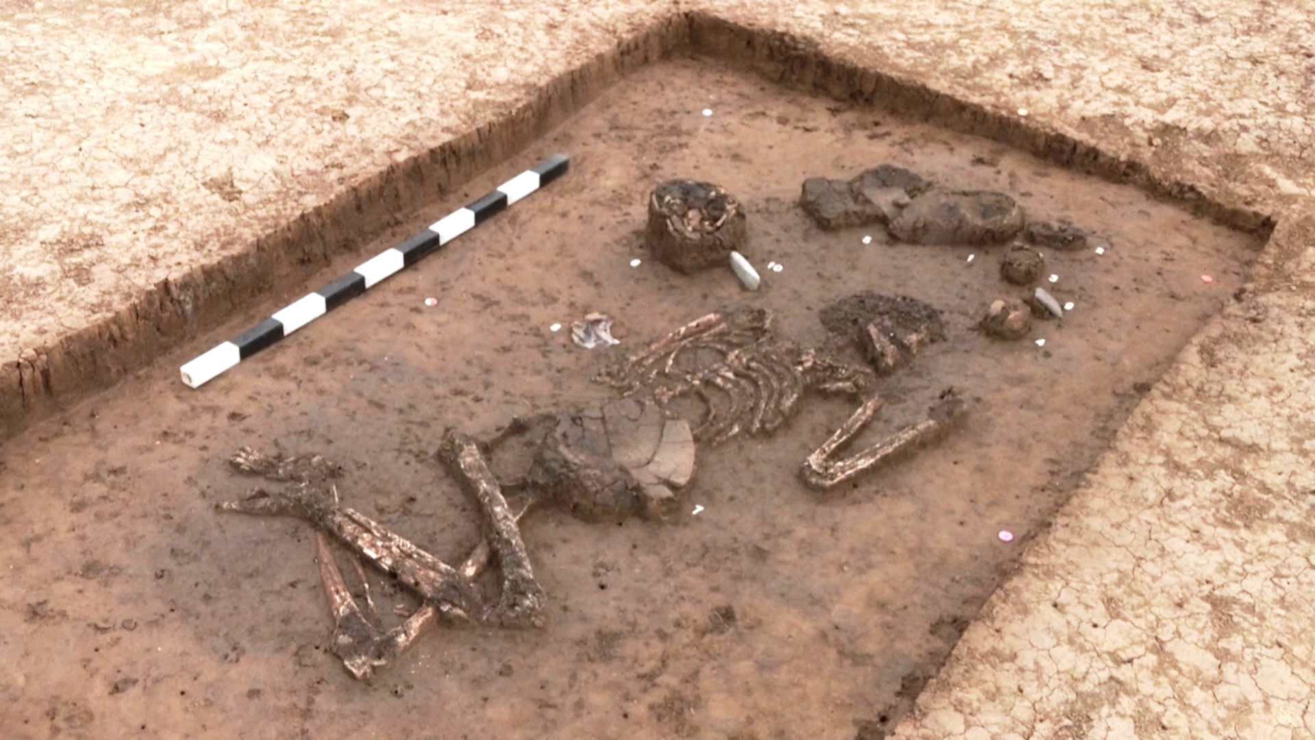 Скелет возрастом 6800 лет нашли в Баварии