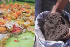 Как пищевые отходы помогают фермерам в Дубае