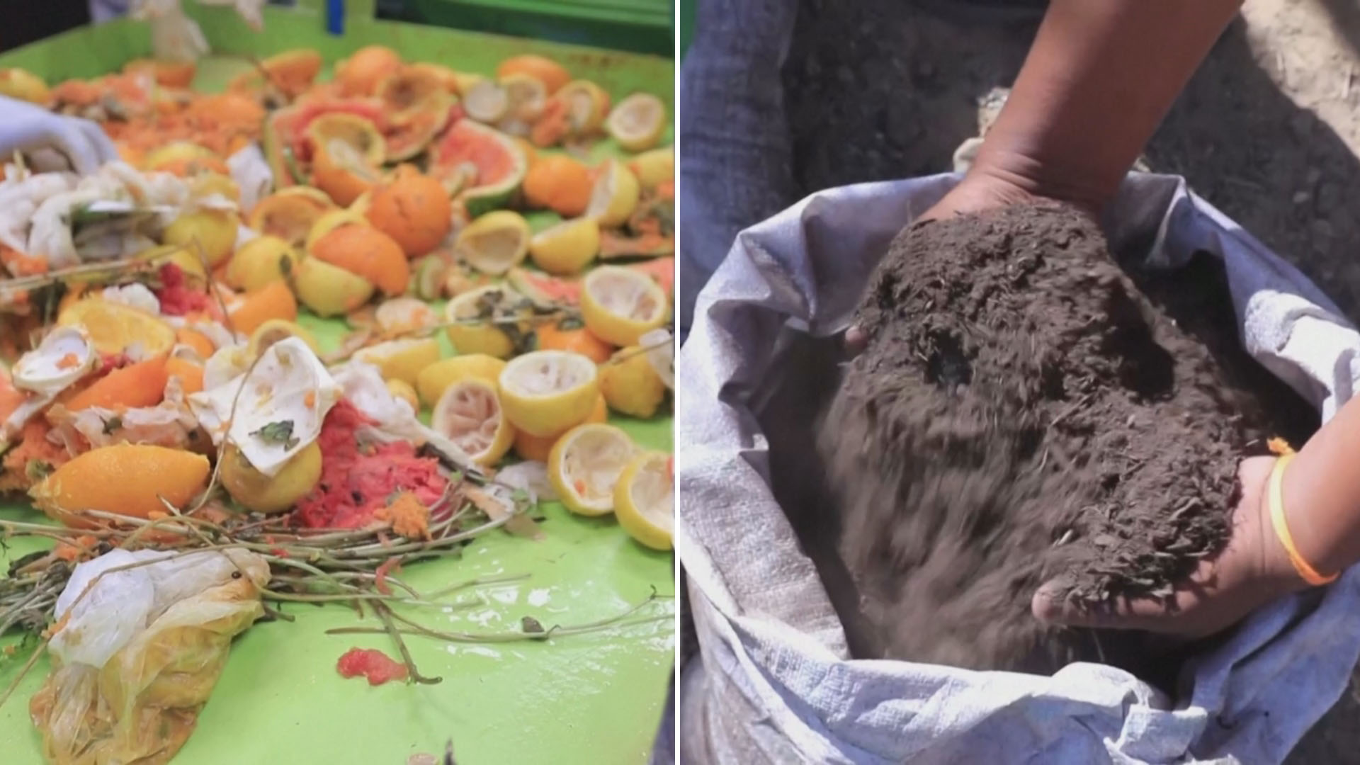 Как пищевые отходы помогают фермерам в Дубае