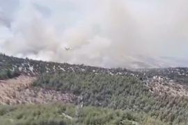 В Турции из-за сильной жары начались лесные пожары