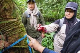 Женские группы рейнджеров защищают индонезийские джунгли