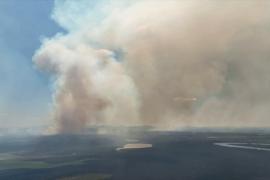 В Бразилии горят самые большие водно-болотные угодья в мире