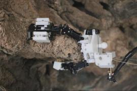 Насекомообразный робот будет изучать пещеры Марса