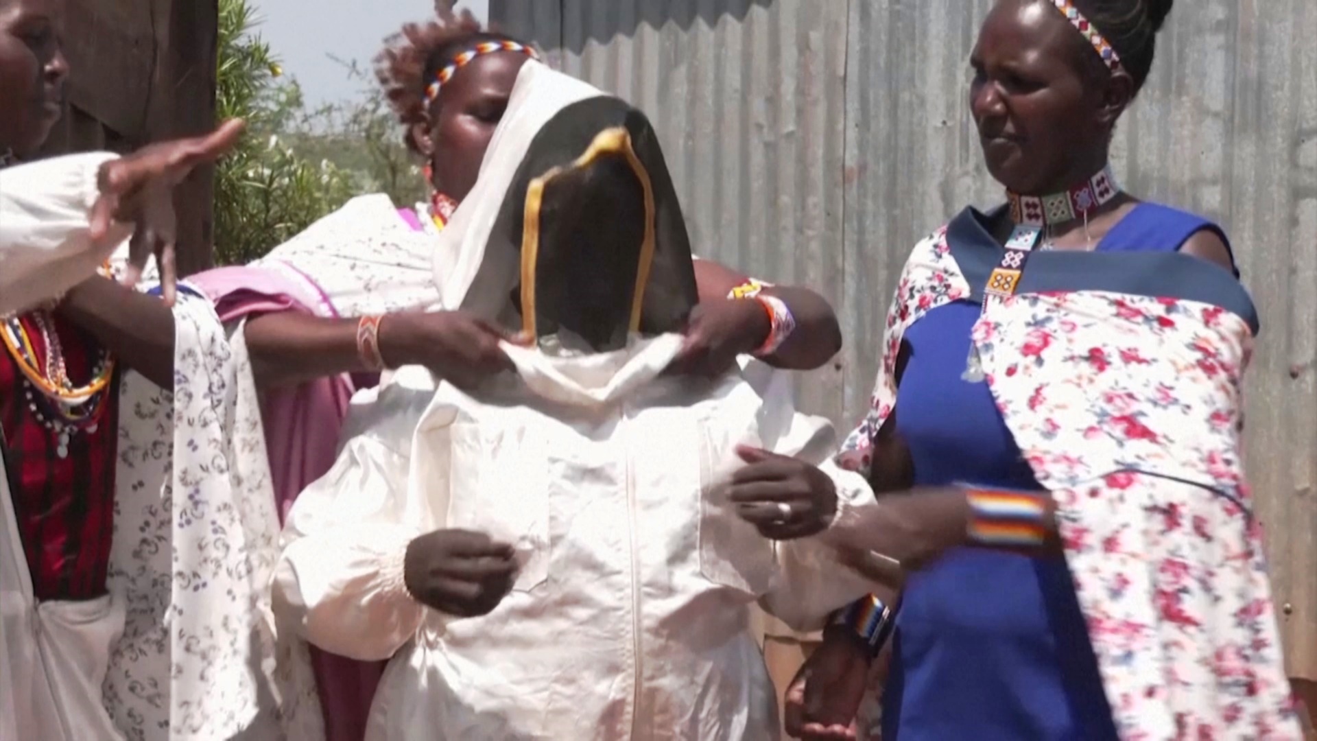 Масаи в Кении занялись пчеловодством вместо разведения скота