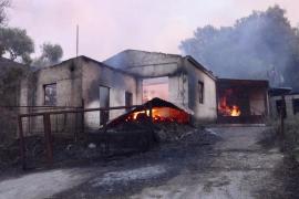 В Греции лесные пожары распространились из-за ураганного ветра