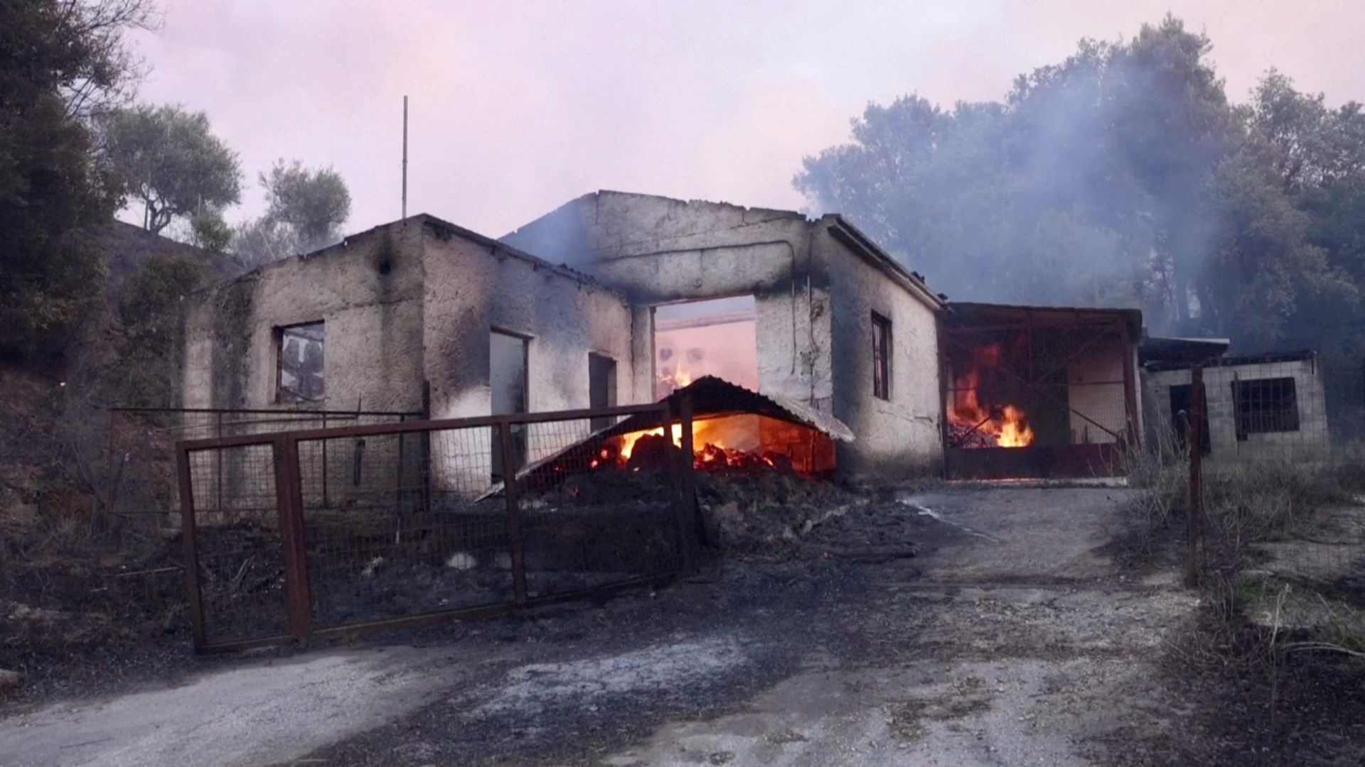 В Греции лесные пожары распространились из-за ураганного ветра