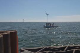 В Балтике рядом с ветряками создали подводную морскую ферму