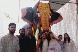 В индийском храме людей встречает слон-робот
