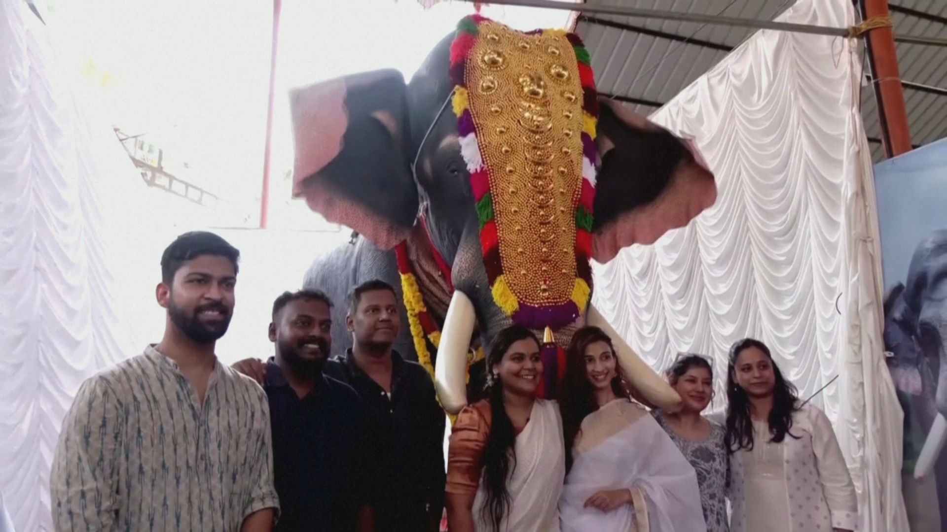 В индийском храме людей встречает слон-робот