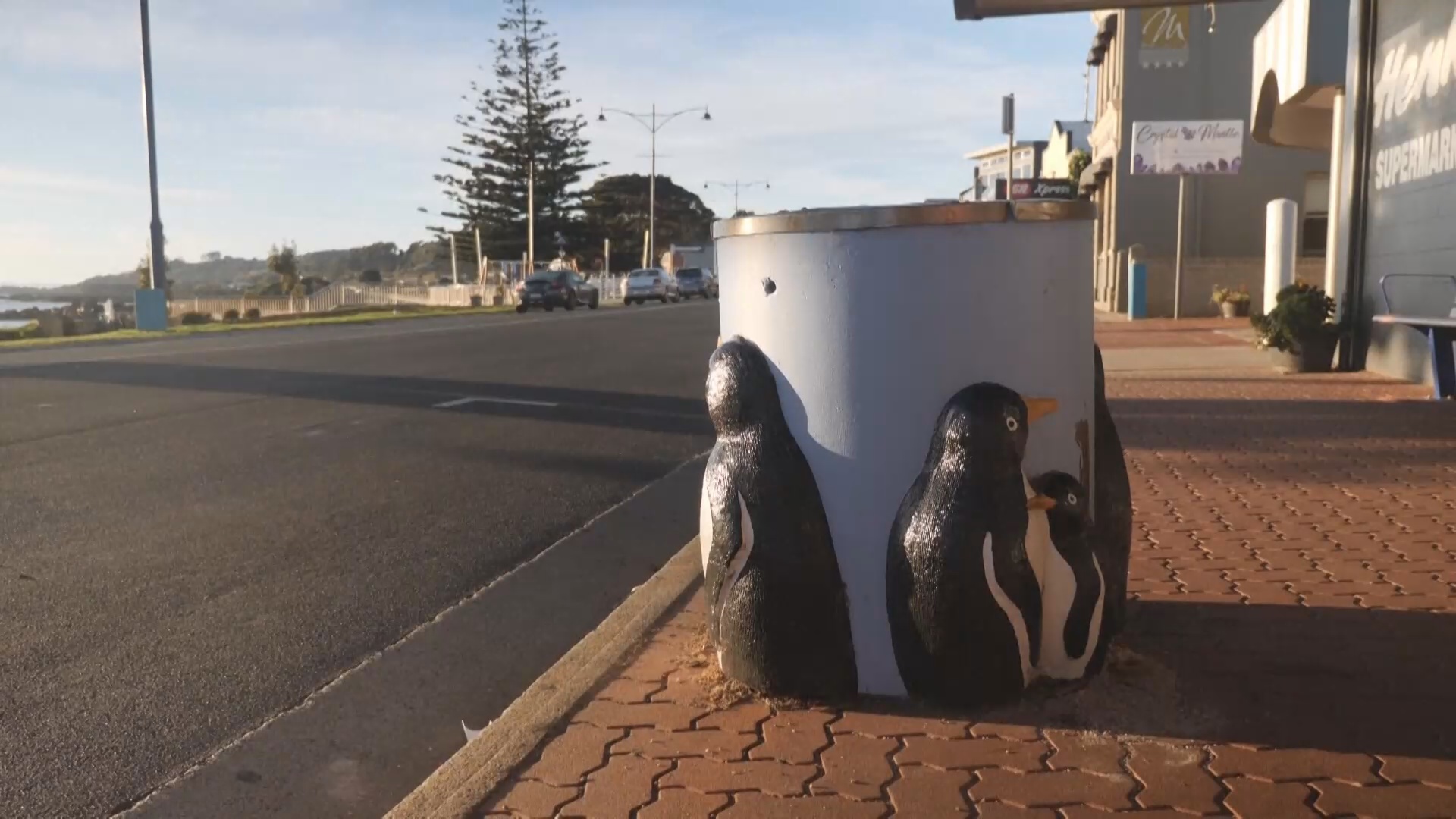 В австралийском городке спасли культовые урны с изображениями пингвинов