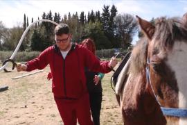 Лошади помогают лечить пациентов в больнице в Риме