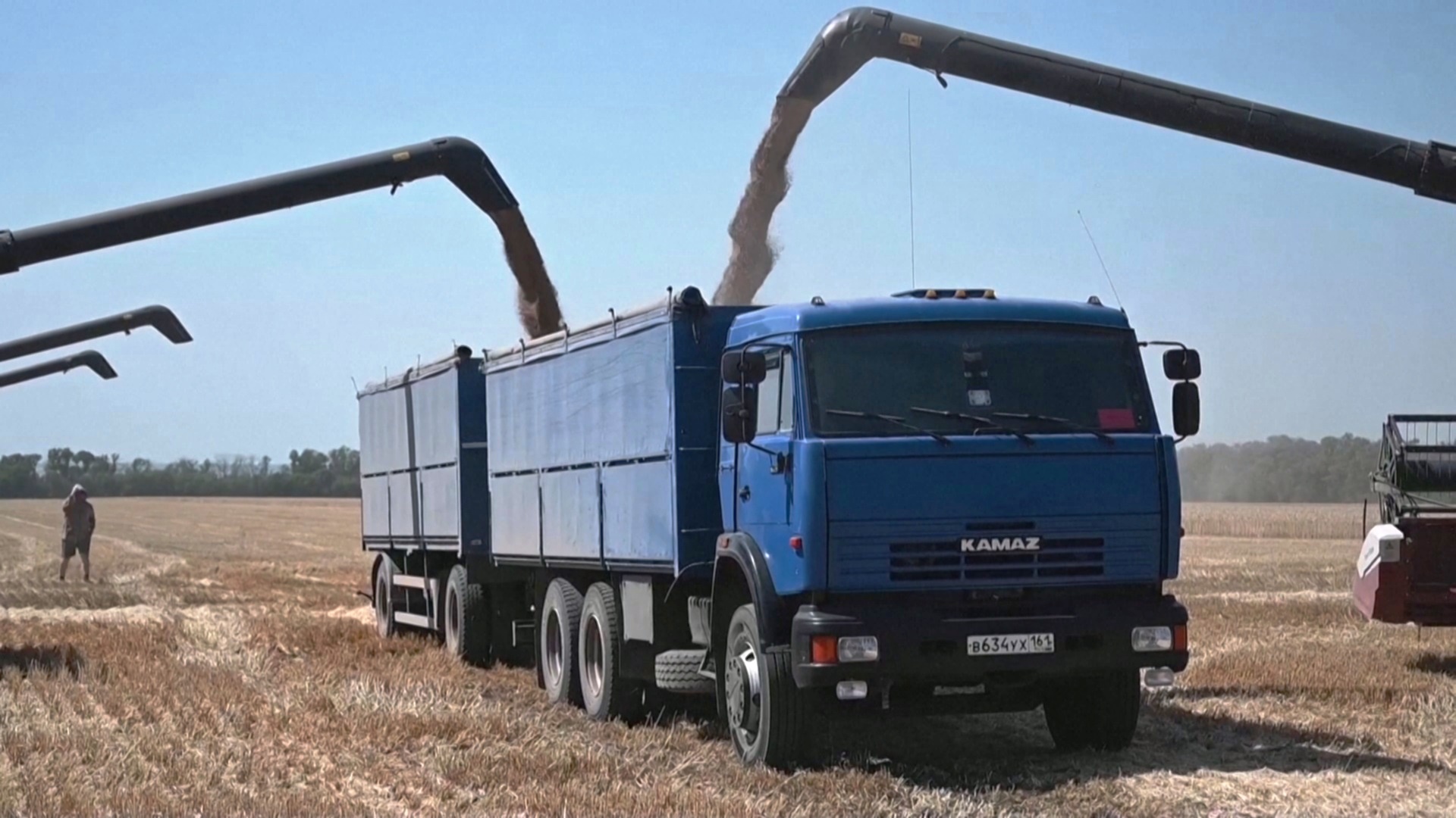 В России в этом году ждут больших потерь урожая зерновых