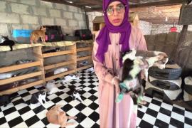 Молодая женщина спасает кошек и собак в Йемене, несмотря на войну