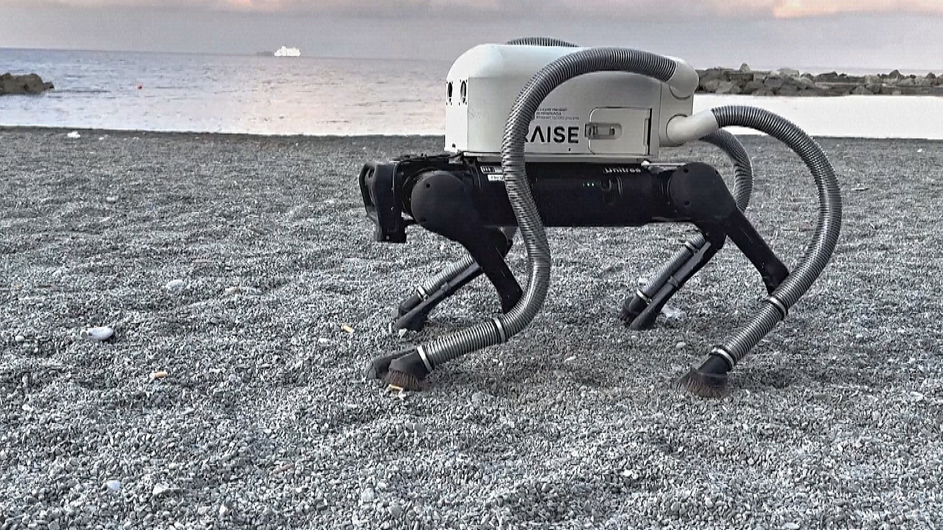 Собака-робот с лапами-пылесосами чистит итальянский пляж Собака-робот с лапами-пылесосами чистит итальянский пляж