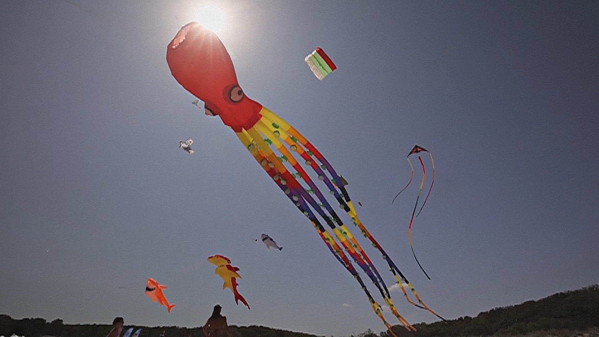 Разноцветные воздушные змеи поднялись в небо над пляжем в Болгарии