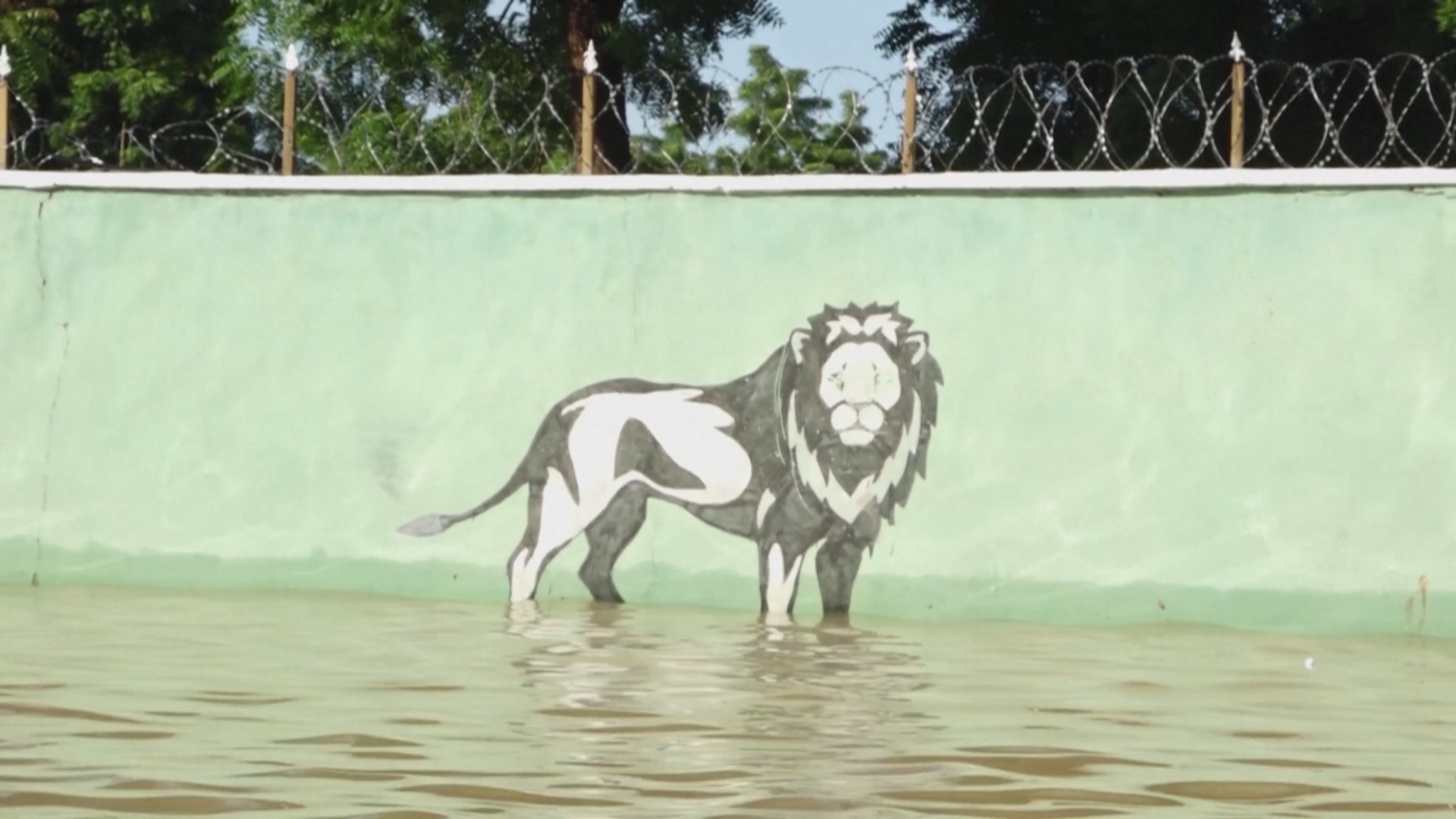 В Нигерии смыло зоопарк