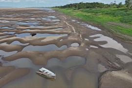 Уровень воды в реках Амазонии достиг 122-летнего минимума