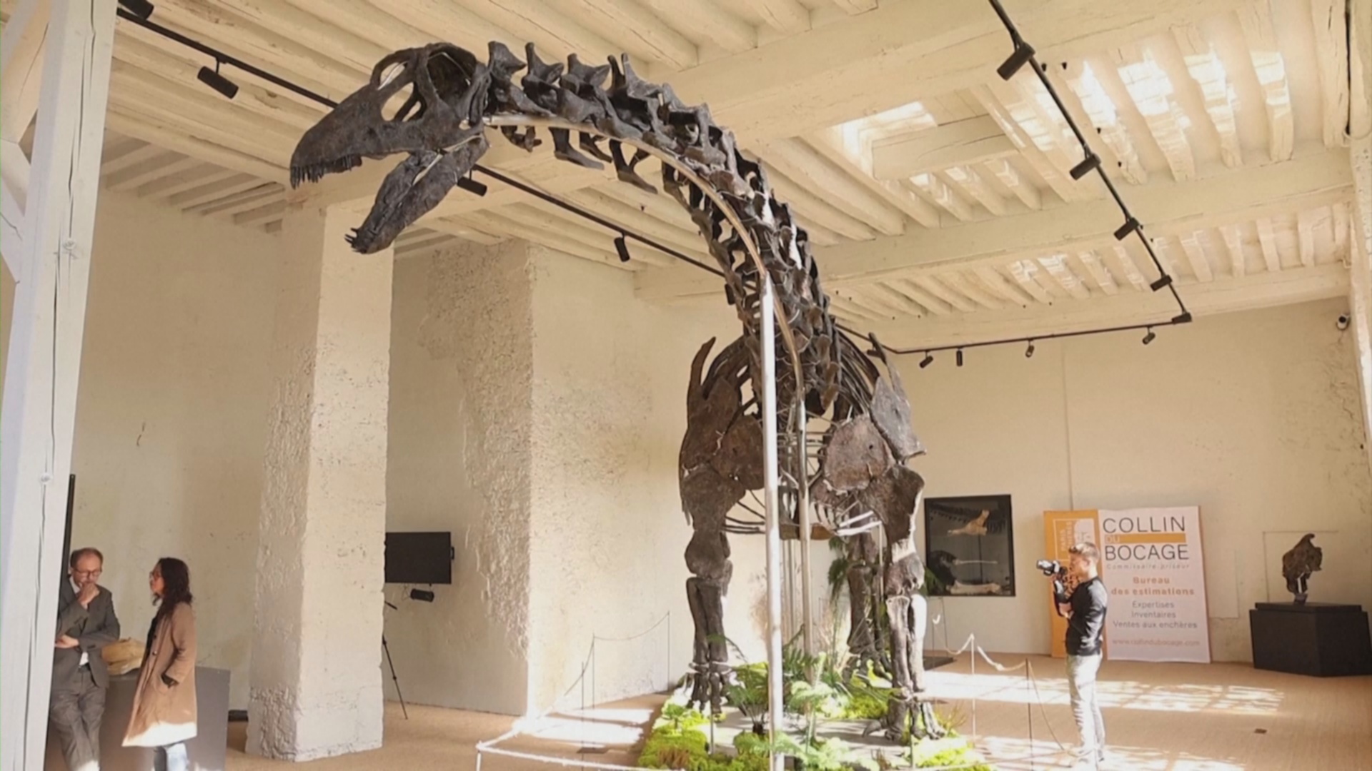 С молотка уйдёт самый большой скелет динозавра, когда-либо выставленный на аукцион С молотка уйдёт самый большой скелет динозавра, когда-либо выставленный на аукцион